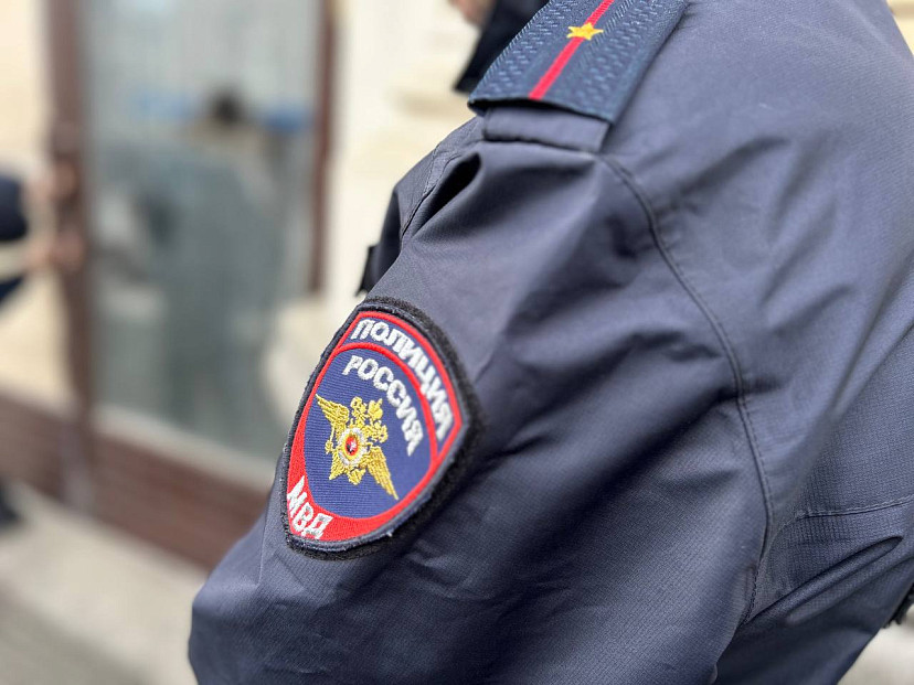 В Саратове квартирантка украла у пенсионерки триммер и бензопилу