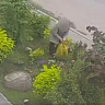 В Саратове пенсионерка попалась на краже цветов с клумбы